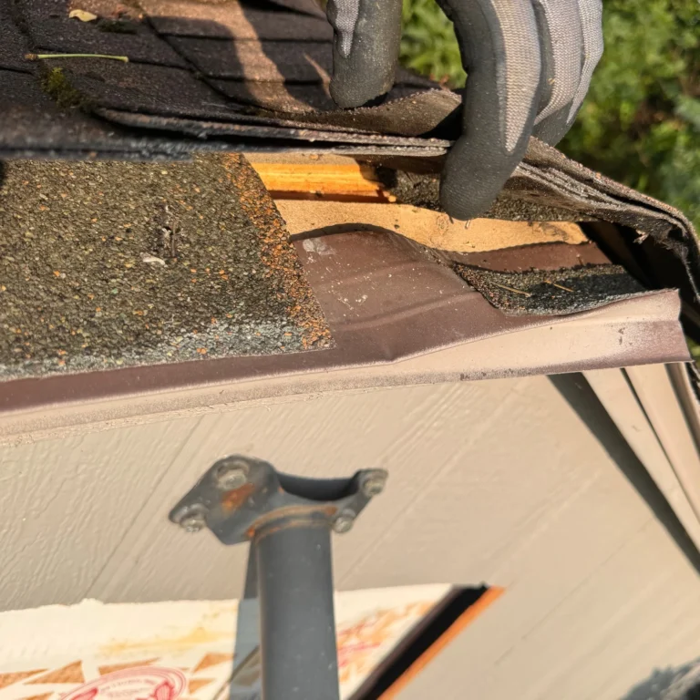 Protect Your Home After the Storm