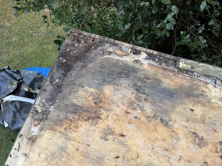 Fall Exterior Inspections You Can Do as a Homeowner